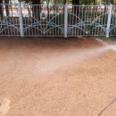 호산초등학교 병설유치원 이미지