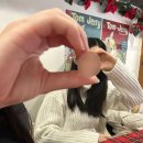 영서약국 이미지