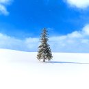 직 통 (옥내1) | 삿포로여행 비에이투어 하루하루투어 내돈내산 솔직한후기