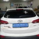 포니카센타 이미지