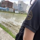 정일성의원 이미지