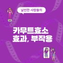 닥터린의원 | 카무트효소 효과, 부작용, 가격, 내돈내산 후기 (총정리)