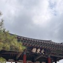 🌳 과거와 현재가 공존하는 안동 시내 도심 속 쉼터, ‘웅부공원’ 방문 후기