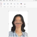 버스권매표소 | 파리 교통권 총정리! 나비고 이지 데쿠베르트 위클리 (구매장소, 충전, 사진 사이즈)