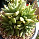 동운농장 이미지