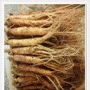 금산인삼 이미지