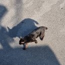 아침애김밥 이미지