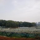 카페위드(CafeWith) 이미지