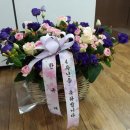 성우수선