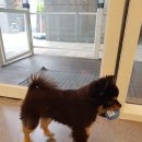 스칸디동물병원 이미지