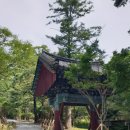 천년숲동로(서) | 금산 천년고찰 보석사 전나무숲길 1100년 은행나무