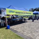 2026 부산예총 갈매랑축제 개최 부산시민공원 현장 후기~!!