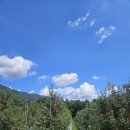 용이네 농장 이미지