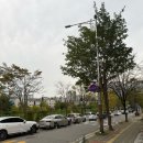 양곡2로-L | ✨김포 속눈썹 파마 후기💛 양촌 ‘네일 손끝, 그리다’ 솔직 방문후기✨