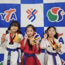 (주)제미타 네이버블로그