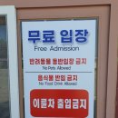 미니스톱 동해송정으뜸점 | 강릉 경포대 &amp; 주문진