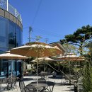 솥밥예찬 이미지