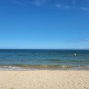 진하반점 이미지