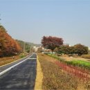 한국도시숲관리