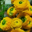 필돌농장 이미지