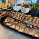 러블리독 애견카페 | 파주 독스테이션 애견카페 방문 후기