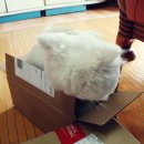 희동이의 하루 이미지