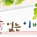 코델리아토탈뷰티샵