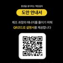 케이스타일즈 | 세돌 장난감 맥킹덤 맥타일즈 내돈내산 솔직후기
