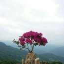 늘좋은날 - 홍성군 | 늘좋은날