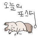 오성맥주 이미지