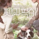 펫미픽미 이미지