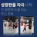 메이져복싱피트니스 이미지