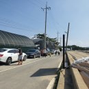 염성해수욕장 이미지