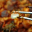 또순이순대 이미지