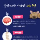 24시 온누리동물메디컬센터 네이버블로그