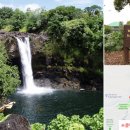 [ 하와이명소 :: 와일루쿠 리버 주립공원 ] - 레인보우 폭포를 볼 수 있는 곳 이미지