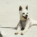 석포리선착장 이미지