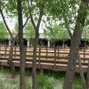 대우이안 이미지