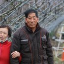 청룡농장 이미지