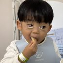 문경제일병원어린이집 | 35개월 하온이 안검내반 수술 후기(고*대 안암병원)