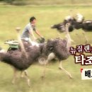 한국웰빙건강 이미지