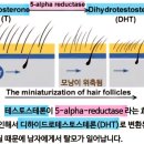 루체피부과의원 네이버블로그
