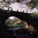 건봉사가는길 이미지