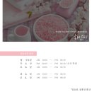 2019 이미자 孝 음악회 이미지