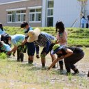 광주북초등학교 이미지