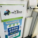 애견갤러리 강아지분양 애견샵 이미지