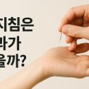 수지침 | [건강] 수지침은 효과가 있을까?