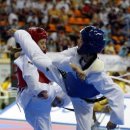 새샘태권도 이미지