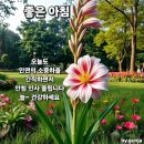 예감