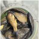 하늘낚시공원낚시터 이미지